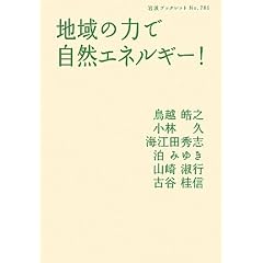 地域の力で自然エネルギー! (岩波ブックレット)