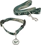 South Florida Bulls Dog Collar & Leash Set
