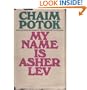 My Name Is Asher Lev