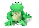 Frog Life Cycle Reversible