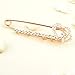 Tagoo Women's Safety Pin Brooch Rhinestone Sweater Hat Crystal Breastpin with Swan&Fox&Fish&Crown Design (Heart 2.95