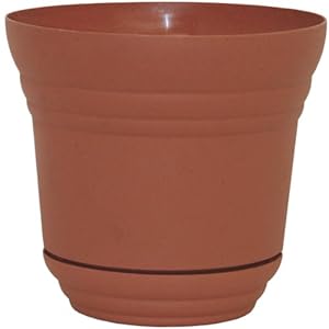 Rush Creek Designs PIM0975010700 Denali Planter with Built in Tray Clay