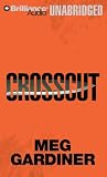 Crosscut (An Evan Delaney Mystery)
