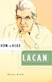 How to Read Lacan (How to Read)