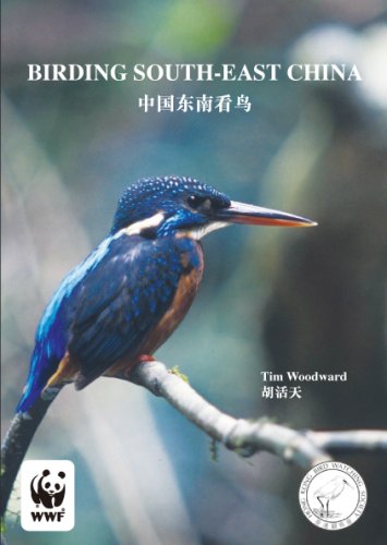 Birding