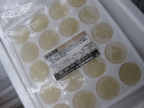気仙沼産 冷凍 フカコラーゲンボール20個入 （業務用） 20個