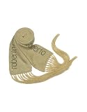 Roberto Cavalli Gold Signature Thin Knit Long Scarf