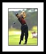 Tiger Woods PGA Golf Framed 8x10 Photograph Swinging Driver