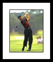 Tiger Woods PGA Golf Framed 8x10 Photograph Swinging Driver