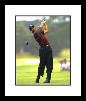 Tiger Woods PGA Golf Framed 8x10 Photograph Swinging Driver
