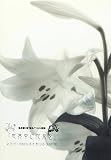 -名古屋V系"色モノ"バンド同盟-PRESENTS Lil.y FINAL STAGE Lil.y&麗麗ツーマンライブ「世界中に花束を」 [DVD]