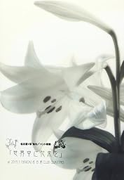 -名古屋V系"色モノ"バンド同盟-PRESENTS Lil.y FINAL STAGE Lil.y&麗麗ツーマンライブ「世界中に花束を」 [DVD]