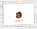 Sugartown Greetings Fall Thank You Cards with Envelopes & Kraft Sticker Seals - Fall Themed Note Cards Variety - 24 Pack