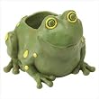 Frog Container Statuary