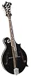 Kentucky KM-1000B Mandolin, Black