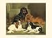 Toy Spaniels - Vero Shaw Art Print Poster 13 x 9.