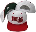 Chicago Bulls White/Red Two Tone Snapback Adjustable Plastic Snap Back Hat / Cap