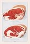 Beef: Bone Top Sirloin 20x30 poster