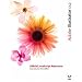 Adobe Illustrator CS2 Official JavaScript Reference (Visual Quickstart Guides)