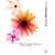 Adobe Illustrator CS2 Official JavaScript Reference