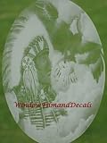 Indian Chief Etched Window Decal Vinyl Glass Cling - 15 x 23