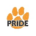 Paw Print Pride Cheek Glitter Decal 100-pk. - Orange