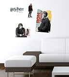 Ron Weasley -- Harry Potter and the Deathly Hallows 3' x 2' Set -- WallJammer -- Peel & Stick Wall Mural Appliques