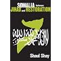 Somalia between Jihad and Restoration
