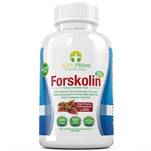 BodyPrime Formulas Forskolin w/ 40% & 20% Standardized Extracts - Fat Burner, Appetite Suppressant & Weight Loss Pills - 260 mg per Capsule - 90 Capsules