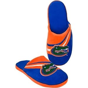 Florida Gators Men's 2013 Stripe Slippers - Blue/Orange (L (11-12))