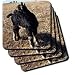 Cassie Peters Photography - Alpine Billy Goat Kid by Angelandspot - Coasters
