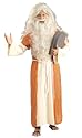 Adult Moses Costume