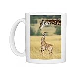 FL-3089-M Maasai Giraffe - mother and one week old young Photo Mugs
