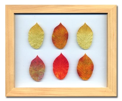 《プラント　アートフレーム》Birch Leaf（バーチリーフ）