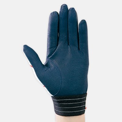 限定品！　野球日本代表モデル＆カラー！ mizuno(ミズノ） ミズノプロ　バッティンググラブ　2EG753　両手用　