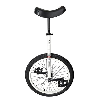 Sun Flat Top Street Unicycle 24
