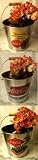 Coke Coca-Cola Galvanized Bucket Assorted