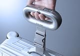 Salter Luggage Scale, Silver