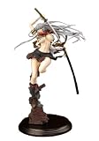 一騎当千XX 趙雲子龍 開眼Ver. (1/6スケール コールドキャスト製塗装済み完成品)イメージ