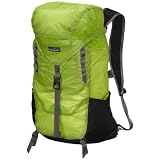 【正規取扱店製品】patagonia パタゴニア ライトウェイトトラベルパック 48817 朝市