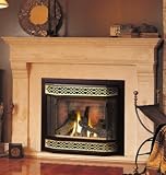 Napoleon GD36NTR Natural Gas Traditional Top/Rear Vent Natural Gas Fireplace Insert with Yellow Dan Reviews 41ciI14gUPL. SL160 Napoleon GD36NTR Natural Gas Traditional Top/Rear Vent Natural Gas Fireplace Insert with Yellow Dan Reviews