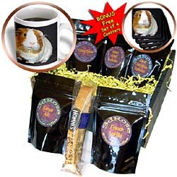 Guinea Pig - Guinea Pig - Coffee Gift Baskets - Coffee Gift Basket