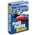 Profit Pulling Niches - How To Create Your Own Internet Niche Empire In Your Spare Time!