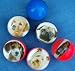 Dog Superballs 45mm (12/PKG)