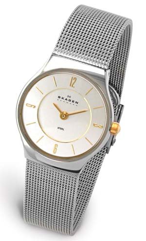 Skagen Women's 233XSGSC Stainless Steel Watch