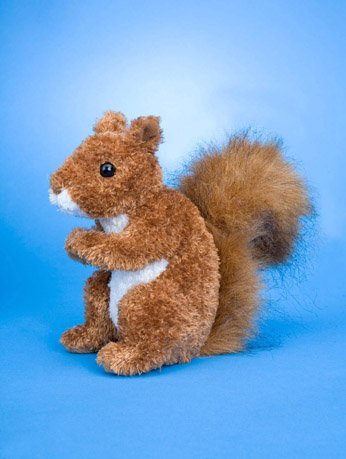 Roadie Red Squirrel 6