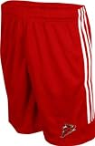 Iowa State Cyclones Big Game Mesh Shorts