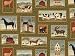 By The Yard Country Road Patch Quilt Cotton Fabric