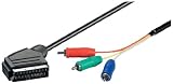 Wentronic RGB Video-Kabel (3x Scartstecker auf Cinchstecker) 3 m