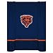 Chicago Bears NFL 
